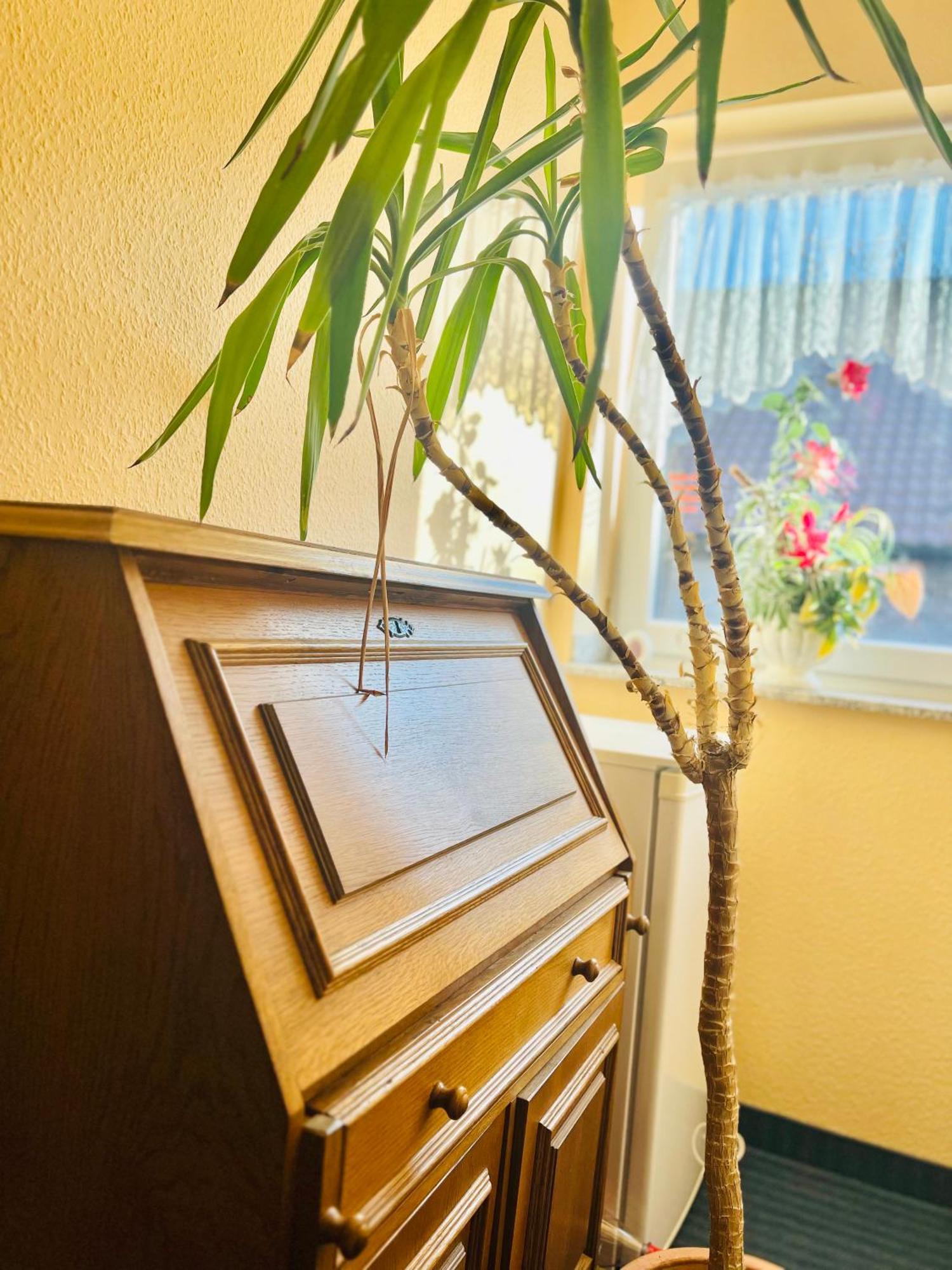 Tm Hotel Westfalen 吕嫩 外观 照片